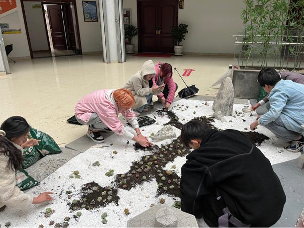 15vip太阳集团
