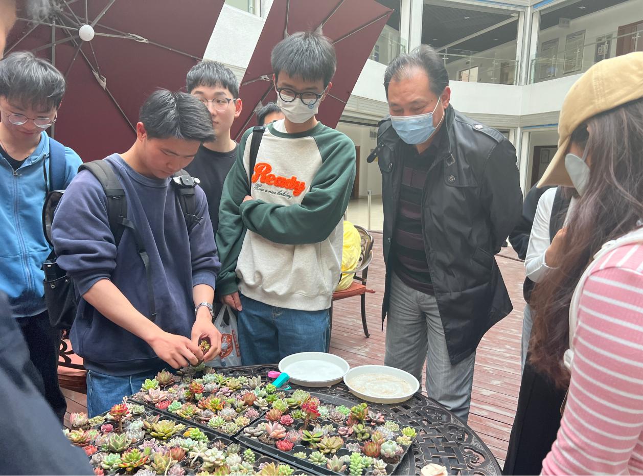 15vip太阳集团