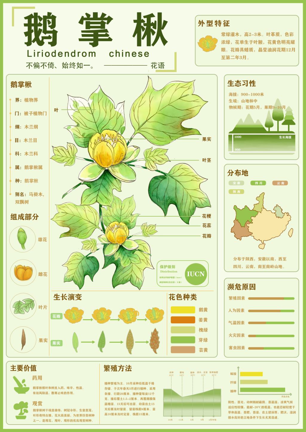 15vip太阳集团