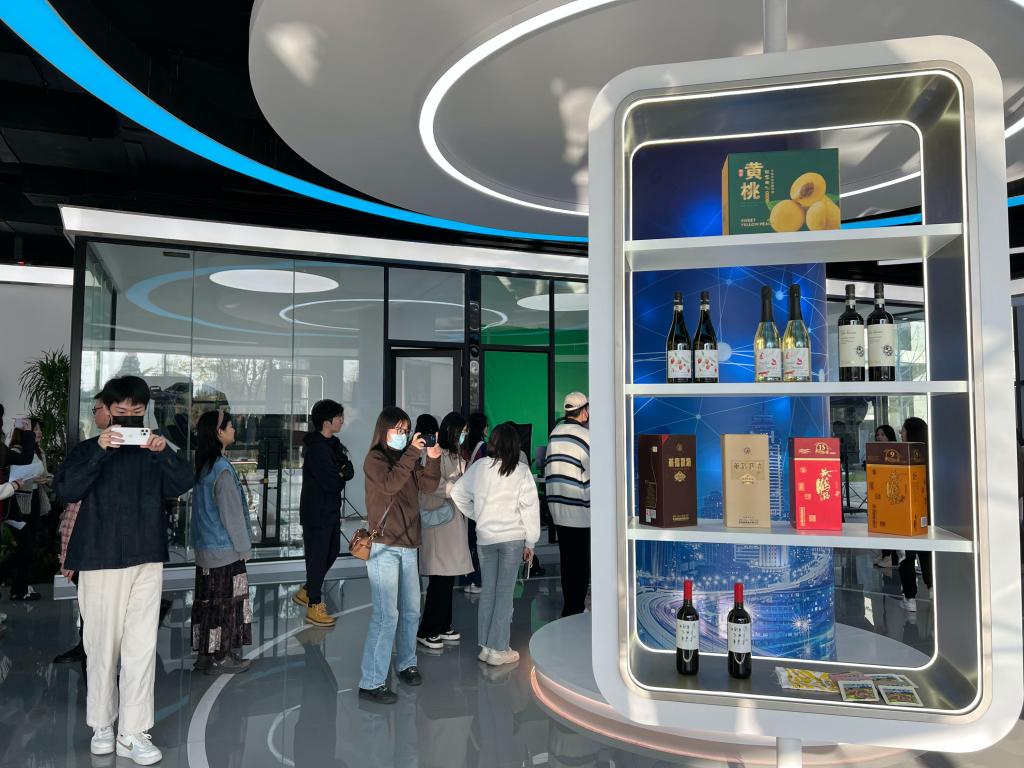 15vip太阳集团