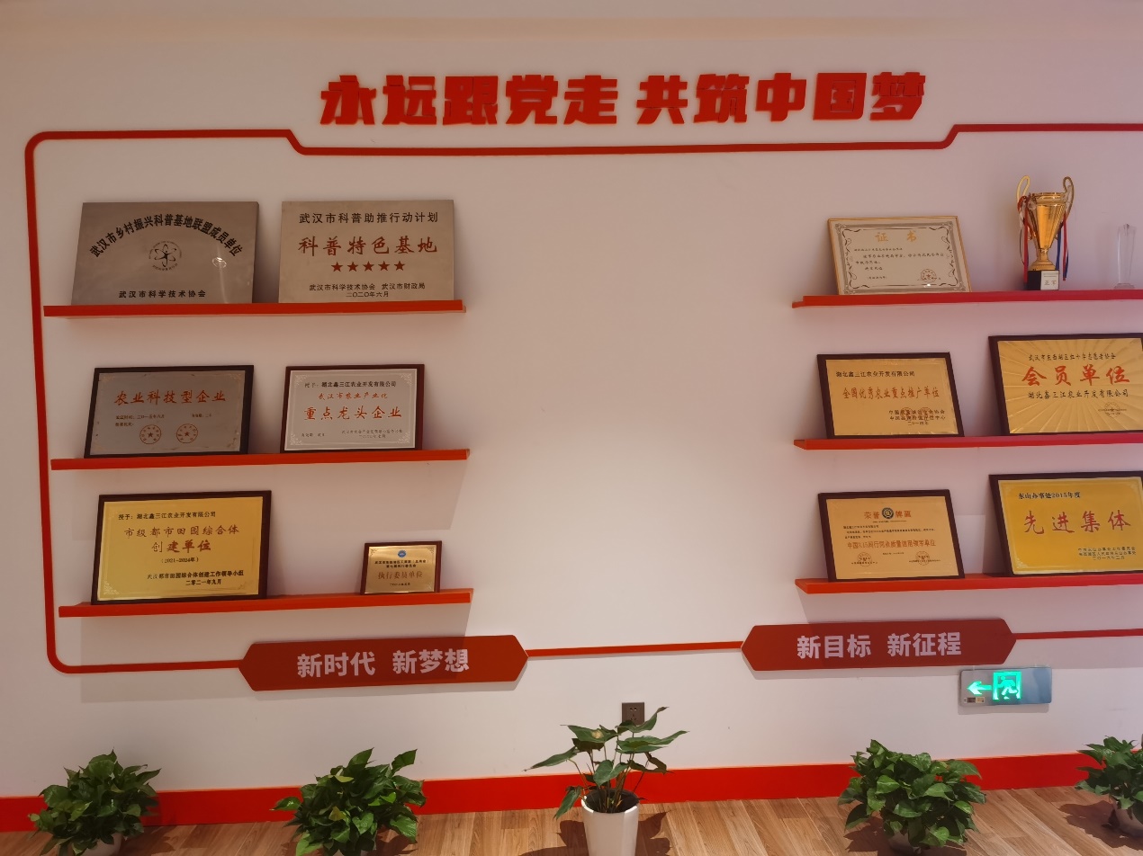 15vip太阳集团